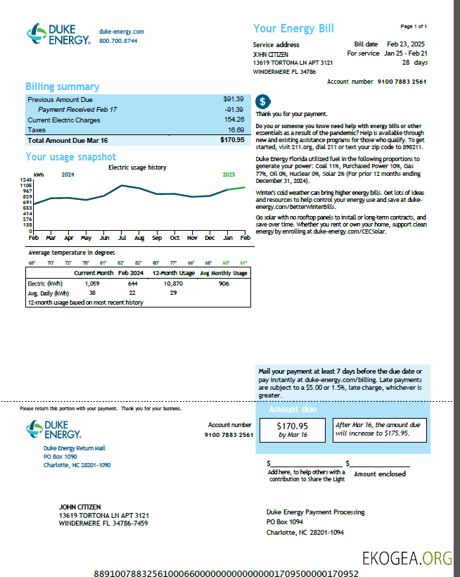 USA Duke Energy utility bill template in Word and PDF formats, version 5
